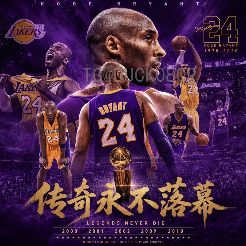 2026年美加墨世界杯巴西队：王者之师的复兴之路与夺冠前景分析